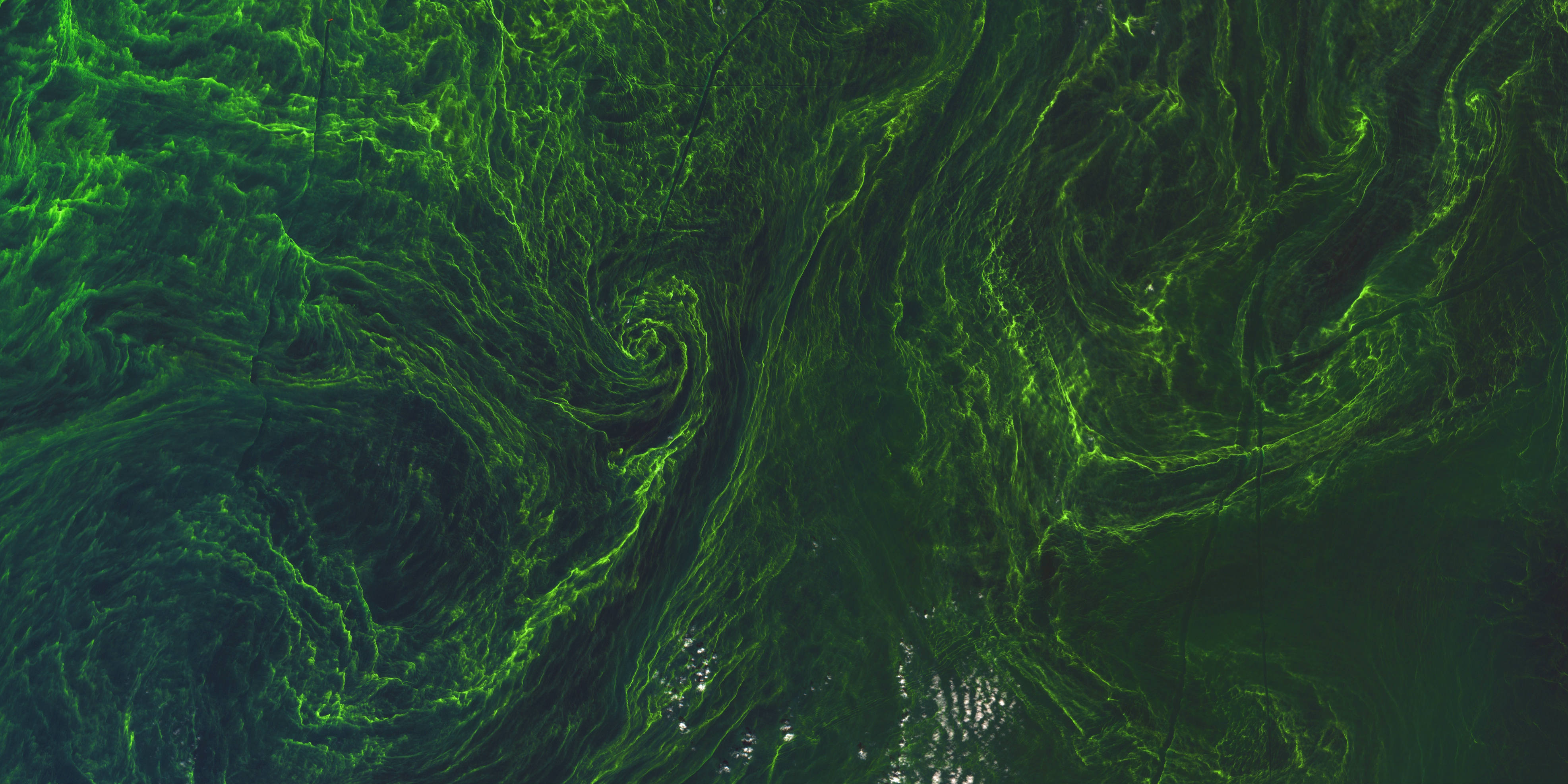 ESA - Algal bloom - Sentinel 2