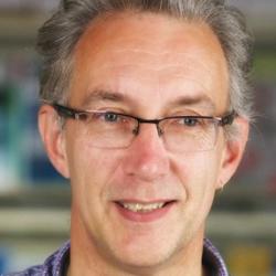 Professor Neil  Burgess