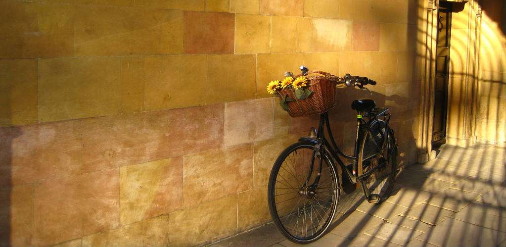 University flikcr - Lena Borise - The Clare College bike - carosel