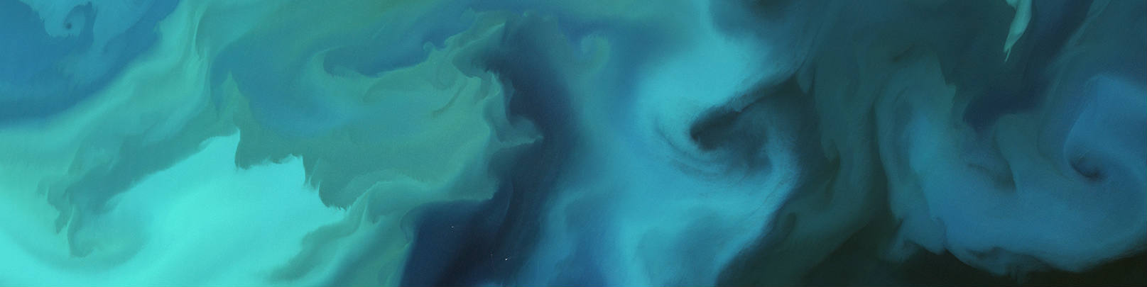 ESA - Algal bloom - Barents Sea - THIN BANNER
