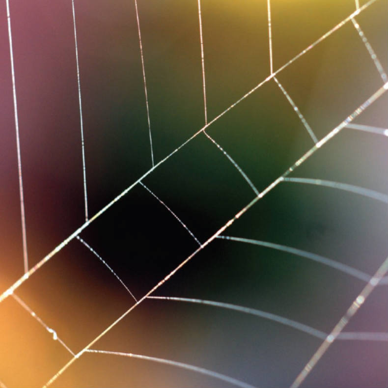 Spider web - square