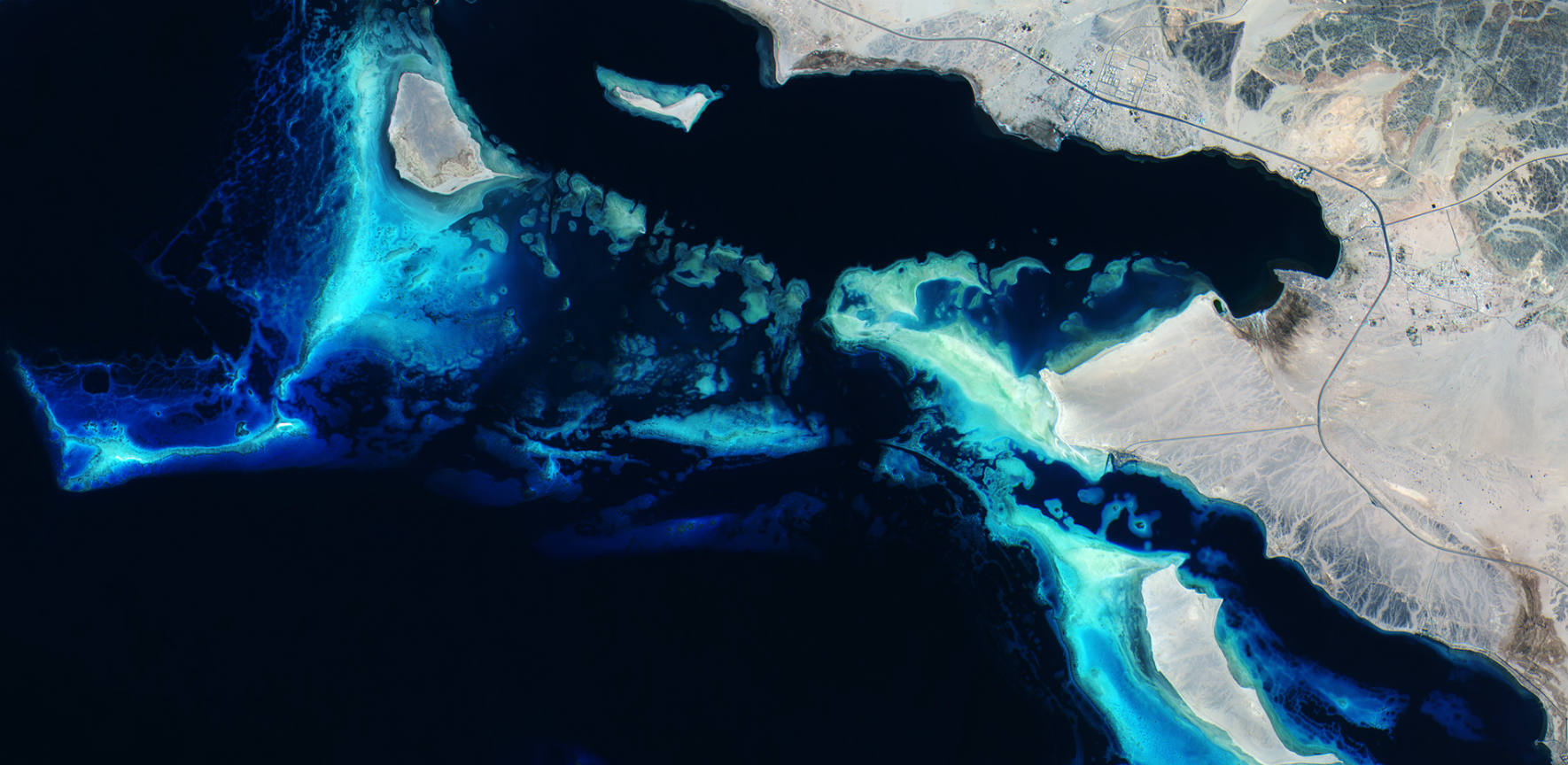 ESA - Deep blue reefs - BANNER