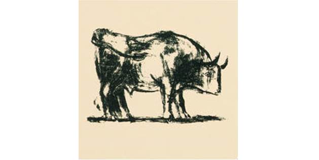 Picasso bull - 1 - full detail