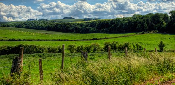 Rural Landscape near Winchester - Neil Howard